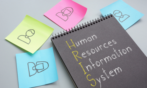 Efficient HR information system for professional workforce management.