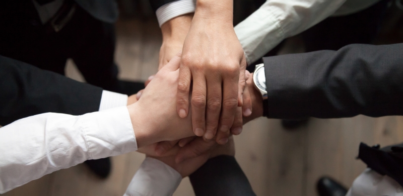 A diverse group of business professionals united, holding hands together in a show of teamwork and collaboration.
