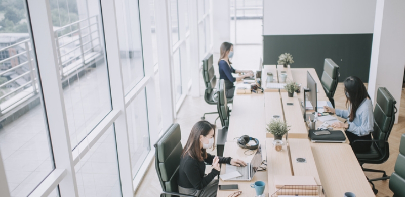 Scenic office with focused professionals, emphasizing reliable BPO service solutions.