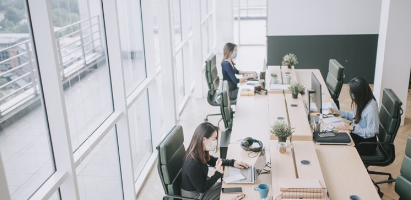 A productive office space with people diligently working at desks, surrounded by large windows offering a scenic view.